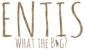 Entis
