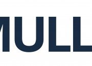 ESET/Eurosecure partners with Mullvad throughout entire Nordic region.