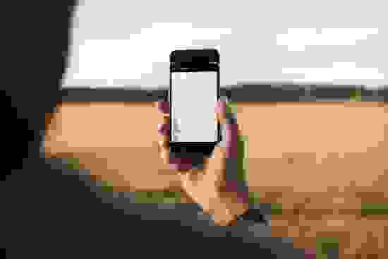 grainsense_002.jpg