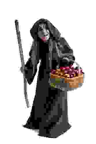 ha-cc-88xan-a7304126.jpg