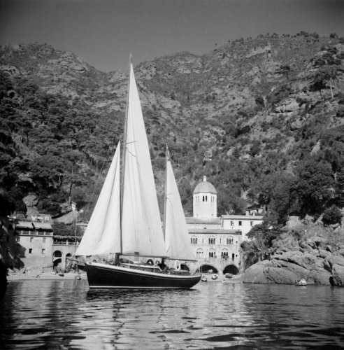 daphne-vid-san-fruttuoso-nara-portofino-1949_ovriga.jpg