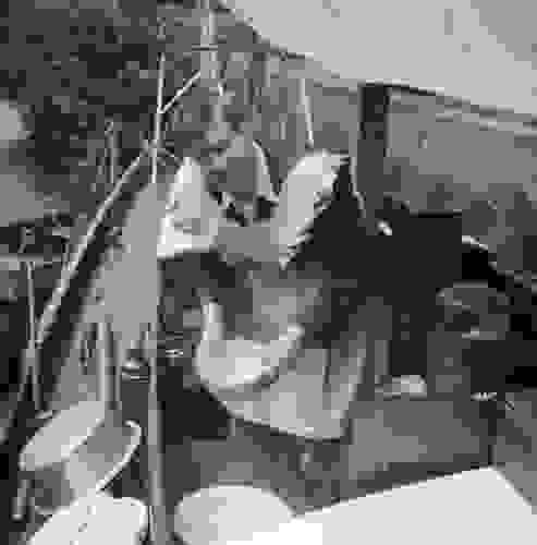 georg-henrik-von-wright-diskar-ombord-pa-daphne-1948_portratt.jpg