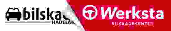 rip-off_logo_bilskaden-1.jpg
