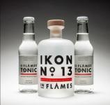 ikon-in-flames.jpg