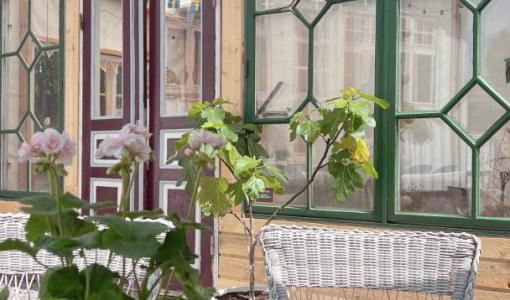 Vinnarna av Sveriges Mysigaste Hem 2025 är utsedda – tre hem som fångar värme, stil och personlighet