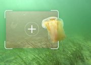 OCEANOLOGY INTERNATIONAL 2020 – Machine learning improves underwater visibility in real time