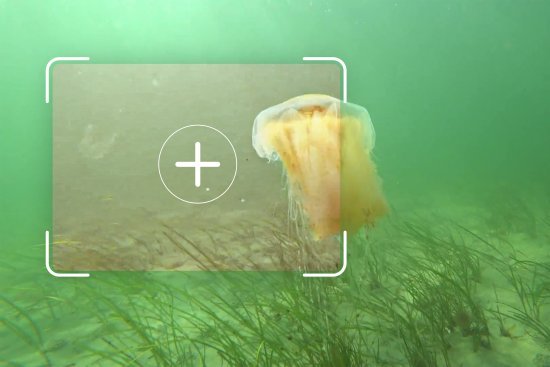 fraunhofer-igd-is-developing-underwater-image-enhancement-methods-based-on-artificial-intelligence.-c-fraunhofer-igd.jpg