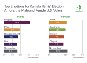 Study: Kamala Harris is a Wild Card in the Highly Emotional U.S. Presidential Race