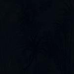 _jaguara_final_1080x1080_zoomout_pdr_45vol_edf2.mp4