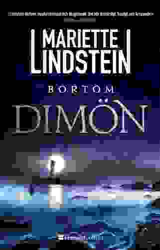 bortom-dimon.jpg