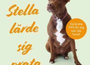 Den osannolika berättelsen om världens första talande hund! Nu kommer boken ”Hur Stella lärde sig prata” ut på svenska.