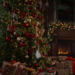 jul-med-bokcirkeln-boktrailer.mp4