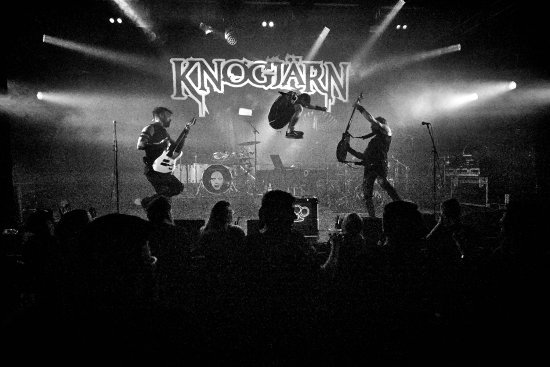 knogja-cc-88rn_live.jpg