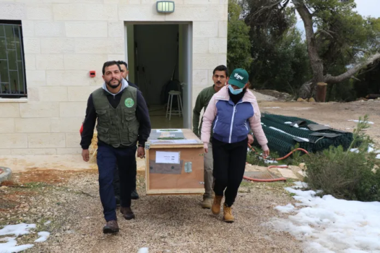 ifaw-crocodile-translocation-to-sudan-3-exiting-room-1.png