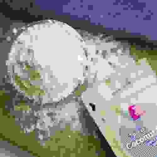 coconut-flour04.jpg