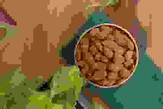 this-is-nuts-miss-valencia-almonds.jpg