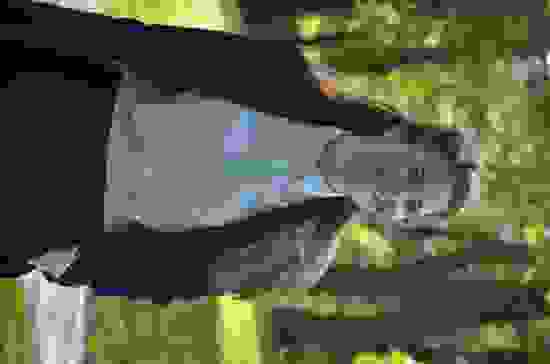 dsc_7120.jpg