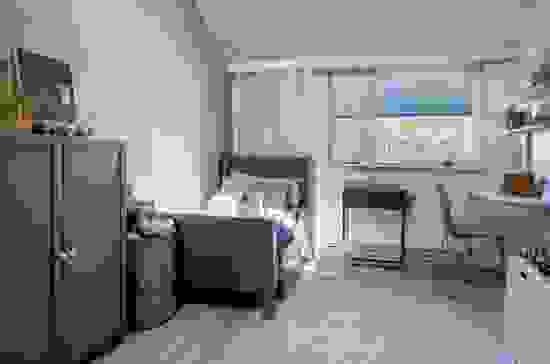 visor-image-2.jpg