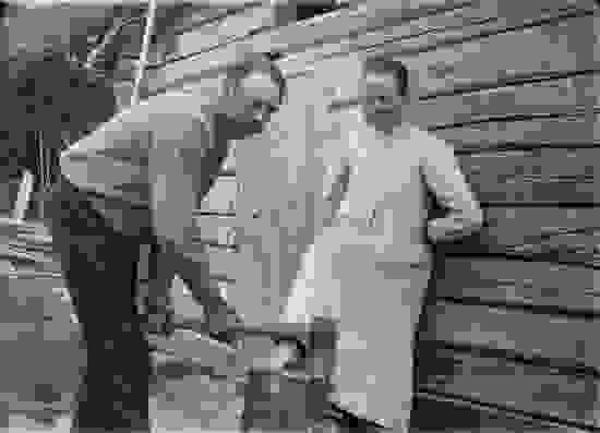 magisk-folkmedicin-valter-w.-forsblom.jpg