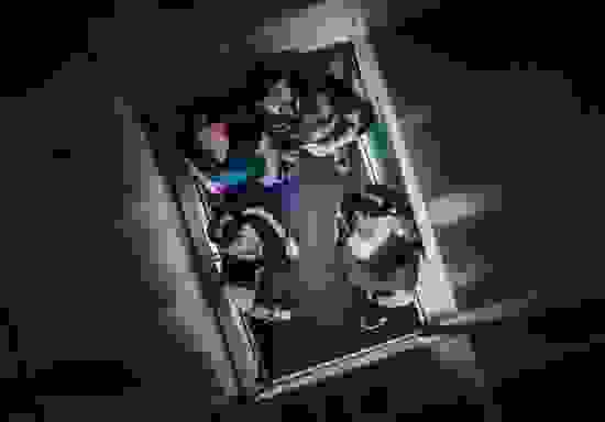 knogjarn-foto-erik-hansen.jpg