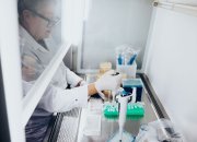 Koite Health erhåller amerikanskt patent för sin banbrytande teknologi i kampen mot antibiotikaresistens