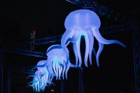 paradedesign-jellyfish-1-kuva-domas-rimeika_2.jpg